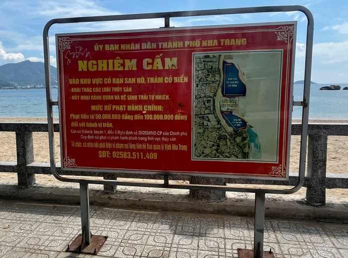 BQL Vịnh Nha Trang nói gì về clip lặn ngắm cá ở Hòn Chồng gây tranh cãi?- Ảnh 2. BQL Vịnh Nha Trang nói gì về clip lặn ngắm cá ở Hòn Chồng gây tranh cãi?- Ảnh 2.